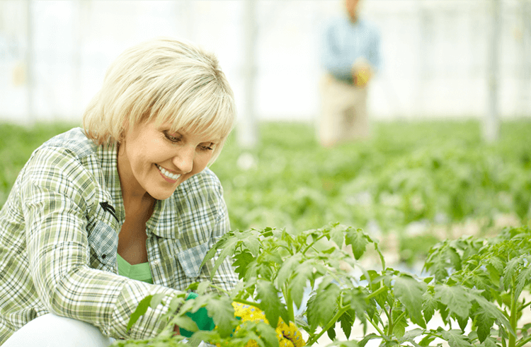 （圖：南輝消泡劑廠家除草劑消泡劑運(yùn)用）
