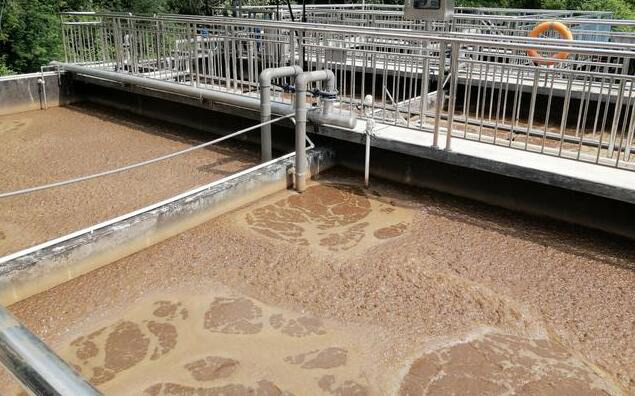 （圖：造紙紙漿廢水處理池起泡場景）
